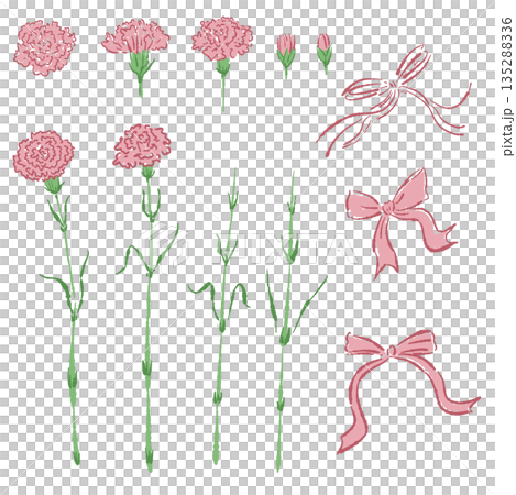 母の日のカーネーションの手書き風カラーイラスト素材 135288336