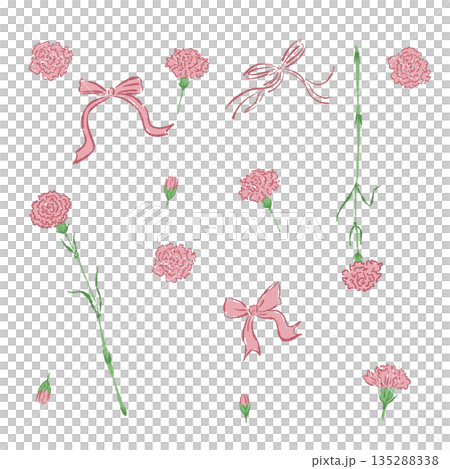 母の日のカーネーションの手書き風カラーイラスト素材 135288338