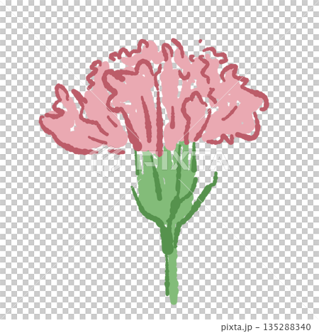 母の日のカーネーションの手書き風カラーイラスト素材 135288340