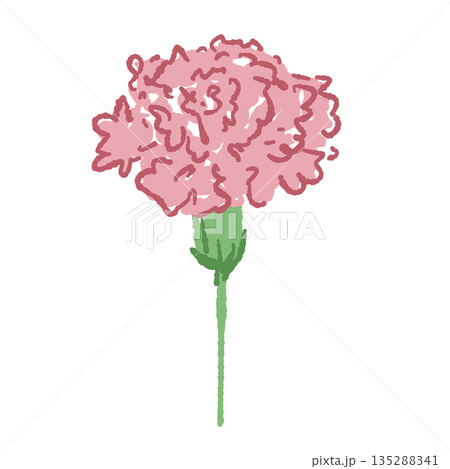 母の日のカーネーションの手書き風カラーイラスト素材 135288341