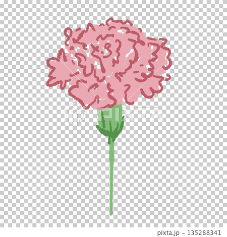 母親節康乃馨手繪彩色插畫素材 135288341