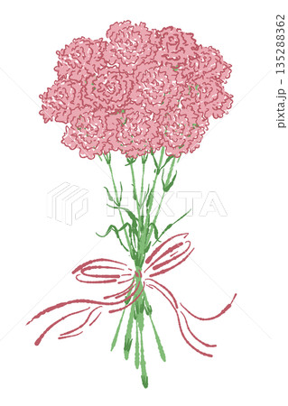 母の日のカーネーションの手書き風カラーイラスト素材 135288362