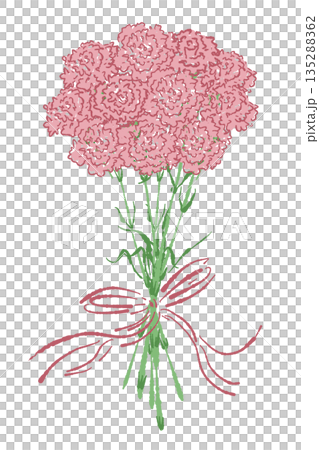 母の日のカーネーションの手書き風カラーイラスト素材 135288362