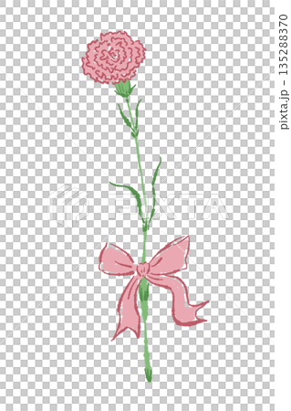 母親節康乃馨手繪彩色插畫素材 135288370