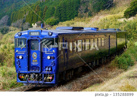 立野の急こう配を登ってくる特急かわせみ やませみ 135288899