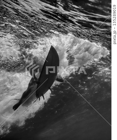 Underwater perspective of surfing through blue depths 135289019