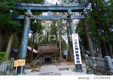 諏訪大社　本宮　鳥居 135289394