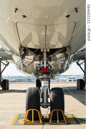 Front view of the nose landing gear and fuselage underbelly 135289448