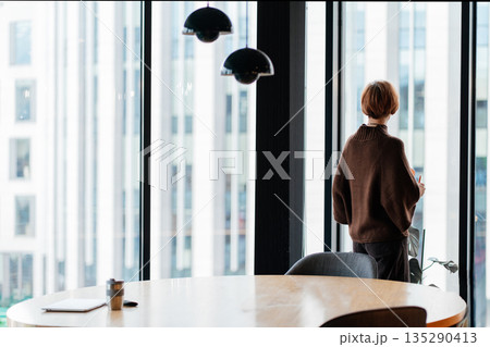 Rear view of 50 year old woman standing near office window. Reflection before decision, calm authority, distance, mature perspective, independent thinking, modern interior 135290413