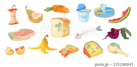 Food waste. Organic trash, rotten fruits vegetable leftover moldy products recycling garbage kitchen rubbish bread residue scrap fish bone dairy cartoon neat vector illustration 135290845