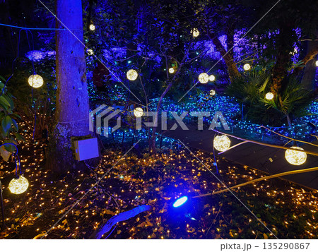 江の島のイルミネーション 江の島のイルミネーション 135290867