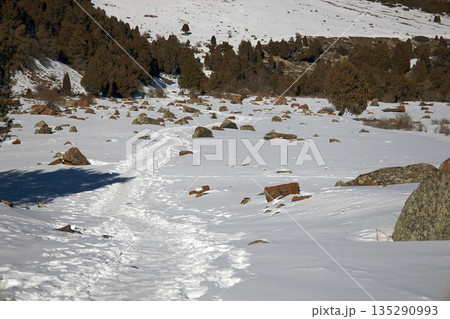 Footprints in snow leading through a rocky winter landscape with evergreen trees 135290993