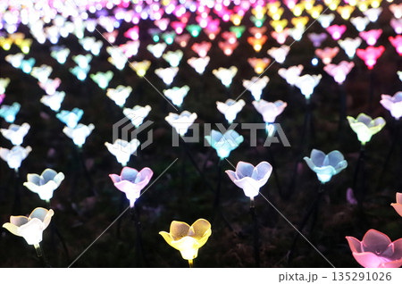 イルミネーションの花畑(栃木県あしかがフラワーパーク 2025) イルミネーションの花畑(栃木県あしかがフラワーパーク 2025) 135291026
