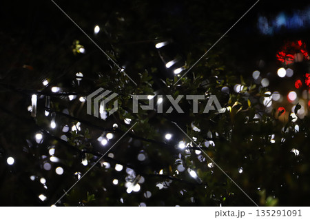 暗闇に浮かぶイルミネーションの光源 暗闇に浮かぶイルミネーションの光源 135291091
