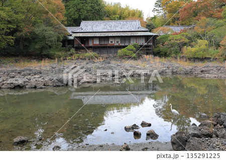 静岡県・三島市・楽寿園 135291225