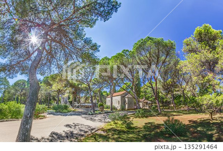 Mediterranean park with pine trees on Brijuni Islands Croatia Mediterranean park with pine trees on Brijuni Islands Croatia 135291464