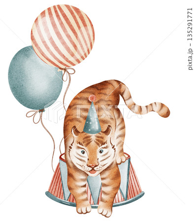 Circus animal tiger on podium with balloons. Hand painted watercolor for kids, posters, invitations, and nursery decor. Cartoon style illustration. Circus animal tiger on podium with balloons. Hand painted watercolor for kids, posters, invitations, and nursery decor. Cartoon style illustration. 135291771