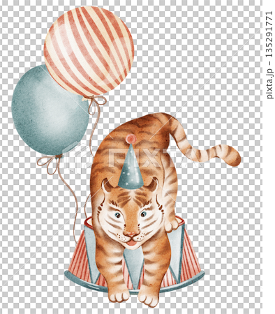 Circus animal tiger on podium with balloons. Hand painted watercolor for kids, posters, invitations, and nursery decor. Cartoon style illustration. Circus animal tiger on podium with balloons. Hand painted watercolor for kids, posters, invitations, and nursery decor. Cartoon style illustration. 135291771