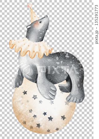 Cute circus animal illustration. Seal sits on ball. Watercolor drawing for children, nursery, birthday, card, poster. Hand drawn illustration for kids, newborn, baby shower, wall art, invitation Cute circus animal illustration. Seal sits on ball. Watercolor drawing for children, nursery, birthday, card, poster. Hand drawn illustration for kids, newborn, baby shower, wall art, invitation 135291773