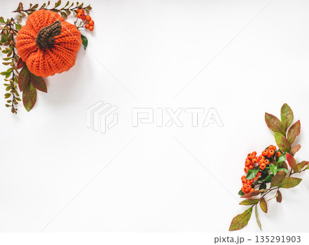 Bright pumpkin, tree leaves and flowers Bright pumpkin, tree leaves and flowers 135291903