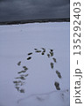 Winter. Sea. Ice. Desire ro walk on the ice. 135292403