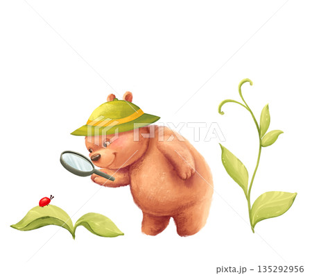 Illustration of a cute hand-drawn little bear character in a sun hat looking at a bug through a magnifying glass. A perfect scene for summer holiday projects, children's educational materials, or Illustration of a cute hand-drawn little bear character in a sun hat looking at a bug through a magnifying glass. A perfect scene for summer holiday projects, children's educational materials, or 135292956