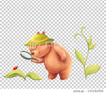 Illustration of a cute hand-drawn little bear character in a sun hat looking at a bug through a magnifying glass. A perfect scene for summer holiday projects, children's educational materials, or Illustration of a cute hand-drawn little bear character in a sun hat looking at a bug through a magnifying glass. A perfect scene for summer holiday projects, children's educational materials, or 135292956