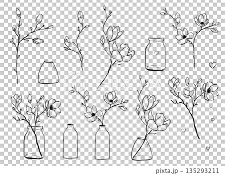 Floral Hand drawn illustrations. Doodle flowers in vases. spring hand drawn collection. 135293211
