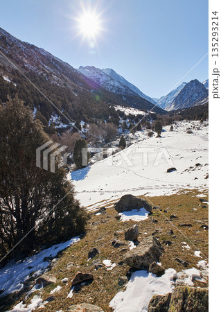 Bright sun over snowy mountain valley with trees and footprints. Nature landscape 135293214