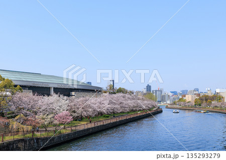 春の大阪城ホールと満開の桜(大阪府大阪市中央区) 135293279