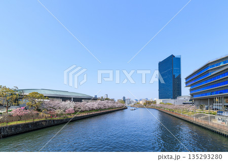 春の大阪城ホールと大阪ビジネスパーク(大阪府大阪市中央区) 135293280