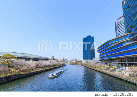 春の大阪城ホールと大阪ビジネスパーク(大阪府大阪市中央区) 135293283