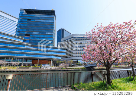 大阪城公園の桜と大阪ビジネスパーク(大阪府大阪市中央区) 大阪城公園の桜と大阪ビジネスパーク(大阪府大阪市中央区) 135293289