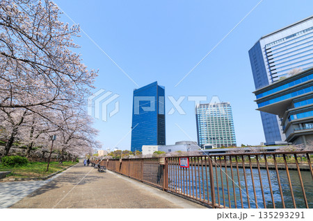 大阪城公園の桜と大阪ビジネスパーク(大阪府大阪市中央区) 135293291