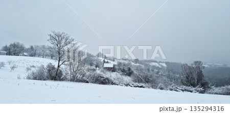 Snowy landscape of Gornje Psarjevo village Snowy landscape of Gornje Psarjevo village 135294316