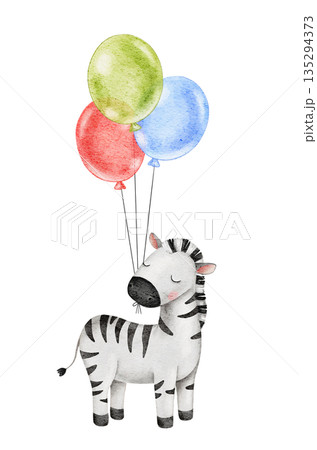 Watercolor cute zebra, celebrating animals, holding colorful bright balloons. Great for baby shower, birthday or party event decoration Watercolor cute zebra, celebrating animals, holding colorful bright balloons. Great for baby shower, birthday or party event decoration 135294373