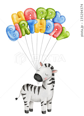Watercolor cute zebra, celebrating animals, holding colorful bright balloons, inflated text Happy Birthday. Great for baby shower, birthday or party event decoration 135294374