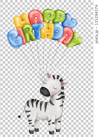 Watercolor cute zebra, celebrating animals, holding colorful bright balloons, inflated text Happy Birthday. Great for baby shower, birthday or party event decoration 135294374