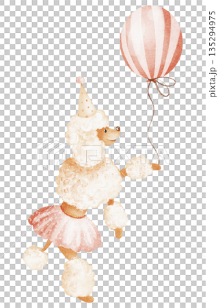 Circus Poodle Balancing On Ball With Balloon 135294975