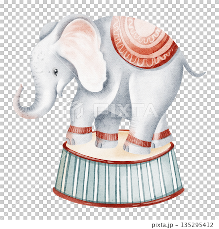 Elephant Balancing On Circus Podium Watercolor Illustration Elephant Balancing On Circus Podium Watercolor Illustration 135295412