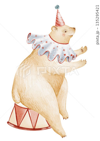 Circus Bear Sitting On Podium Watercolor Illustration Circus Bear Sitting On Podium Watercolor Illustration 135295421
