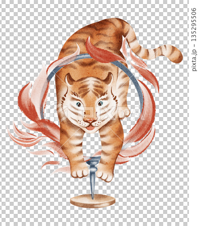 Circus Tiger Jumping Through Fire Watercolor Illustration 135295506