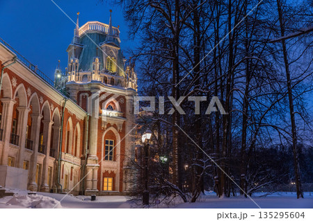 Illuminated Tsaritsyno Grand Palace exterior on a winter night 135295604