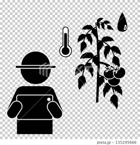 智慧農業圖示：一位番茄種植者正在使用平板電腦控制溫度和濕度。 135295666
