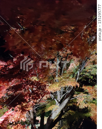 水面に映る紅葉 水面に映る紅葉 135295777