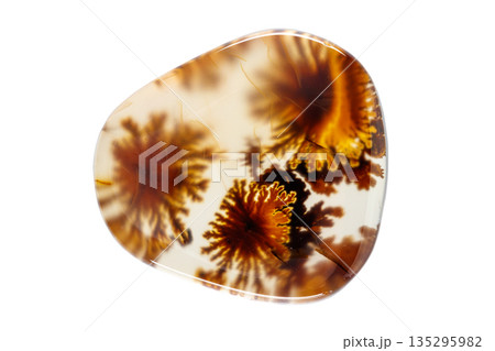 macro mineral stone Agata muschiata on a white background macro mineral stone Agata muschiata on a white background 135295982