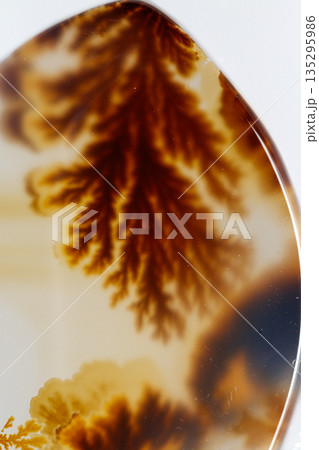 macro mineral stone Agata muschiata on a white background macro mineral stone Agata muschiata on a white background 135295986