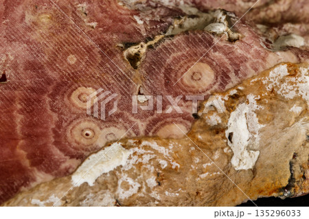 Macro stone cobalt calcite mineral on a black background Macro stone cobalt calcite mineral on a black background 135296033