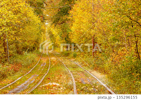 Autumn forest through which an old tram rides (Ukraine) Autumn forest through which an old tram rides (Ukraine) 135296155