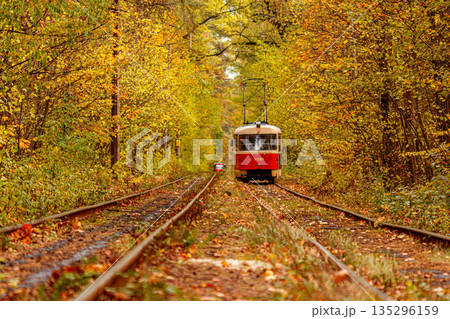 Autumn forest through which an old tram rides (Ukraine) 135296159